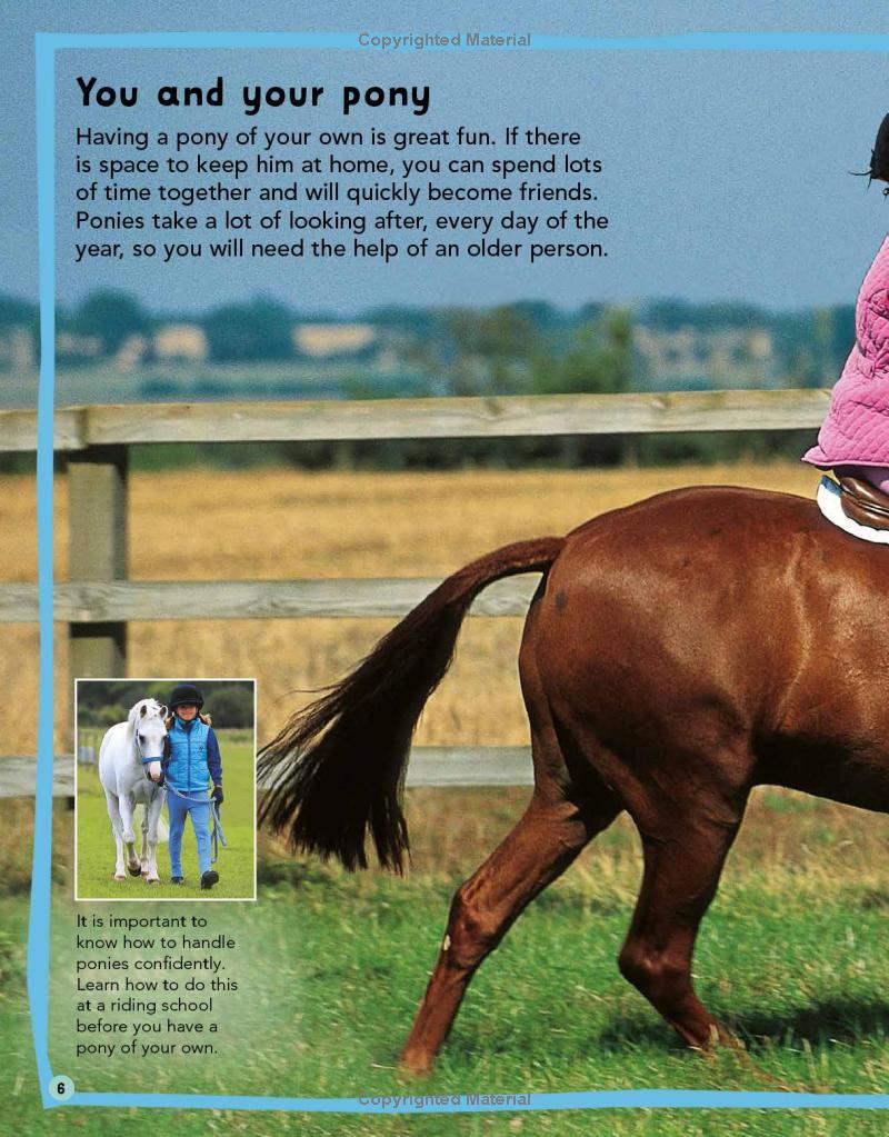 Sách ngoại văn: My First Horse And Pony Care Book