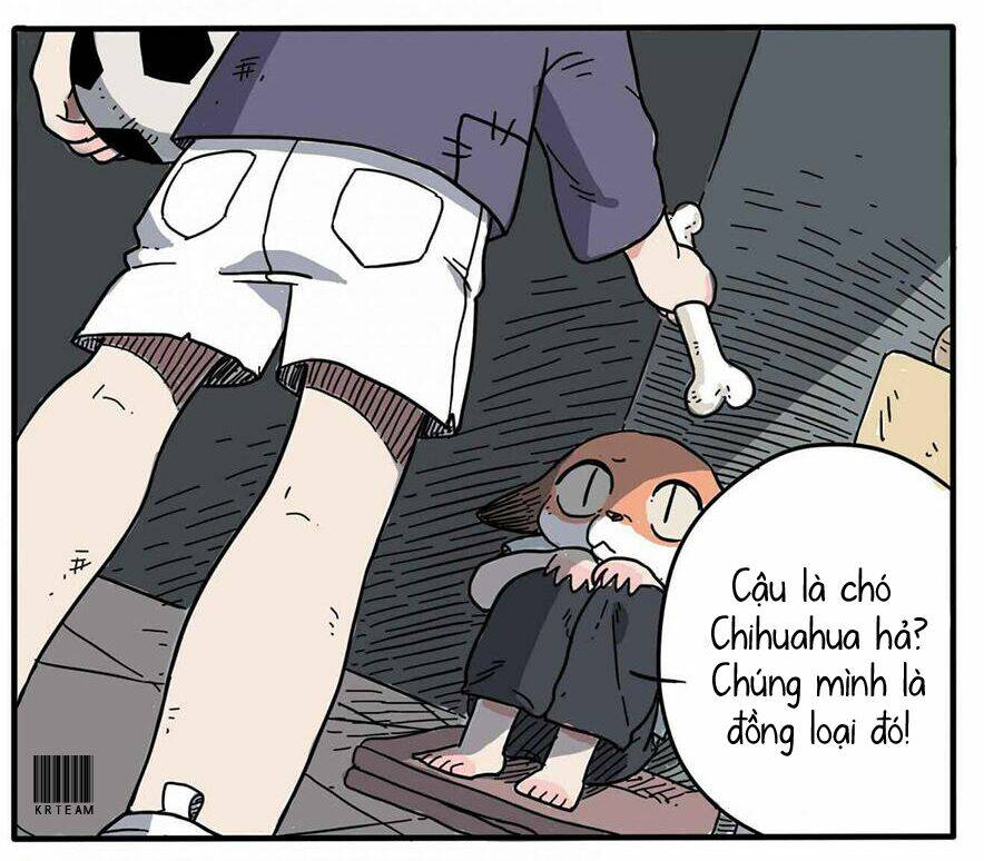 cáo a cát kém tắm chapter 1 15