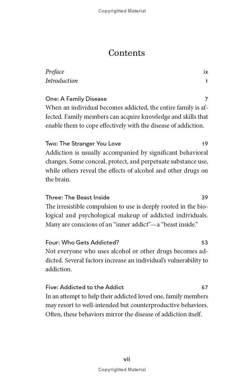 Sách ngoại văn: Addict In The Family - Support Through Loss, Hope, And Recovery