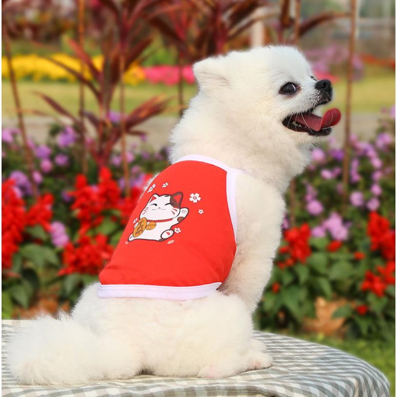 Áo vải cotton cho chó mèo 2 chân , mỏng nhẹ , mát , Đủ Size, Quần áo Thú Cưng