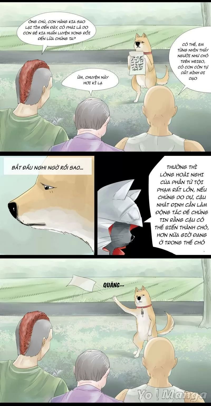 một con chó chapter 15 2