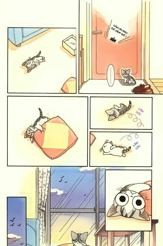 chi's sweet home chapter 20 6