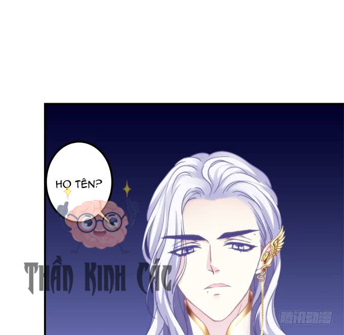 kiểm soát tuyệt đối chapter 2 13