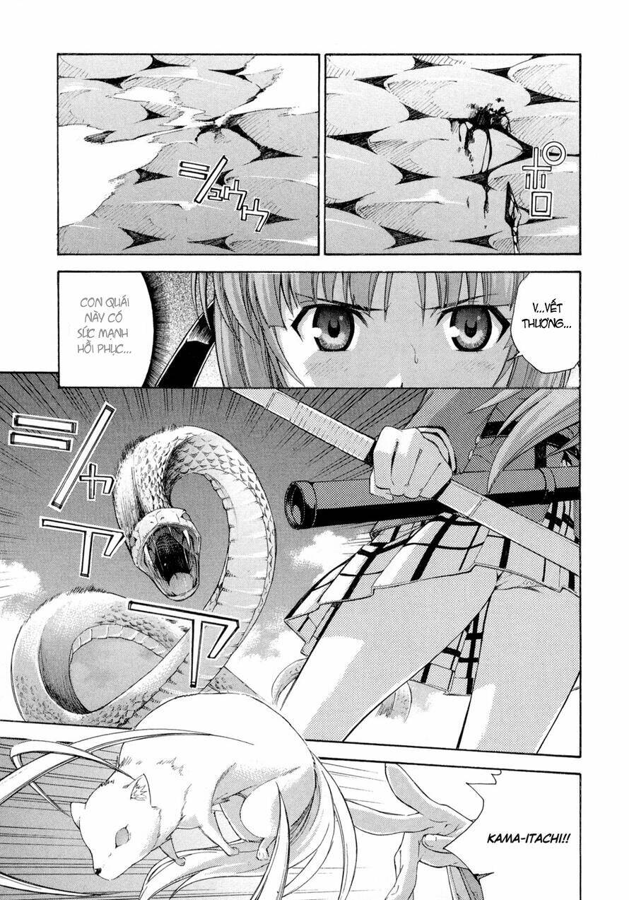 isuca chapter 13 23