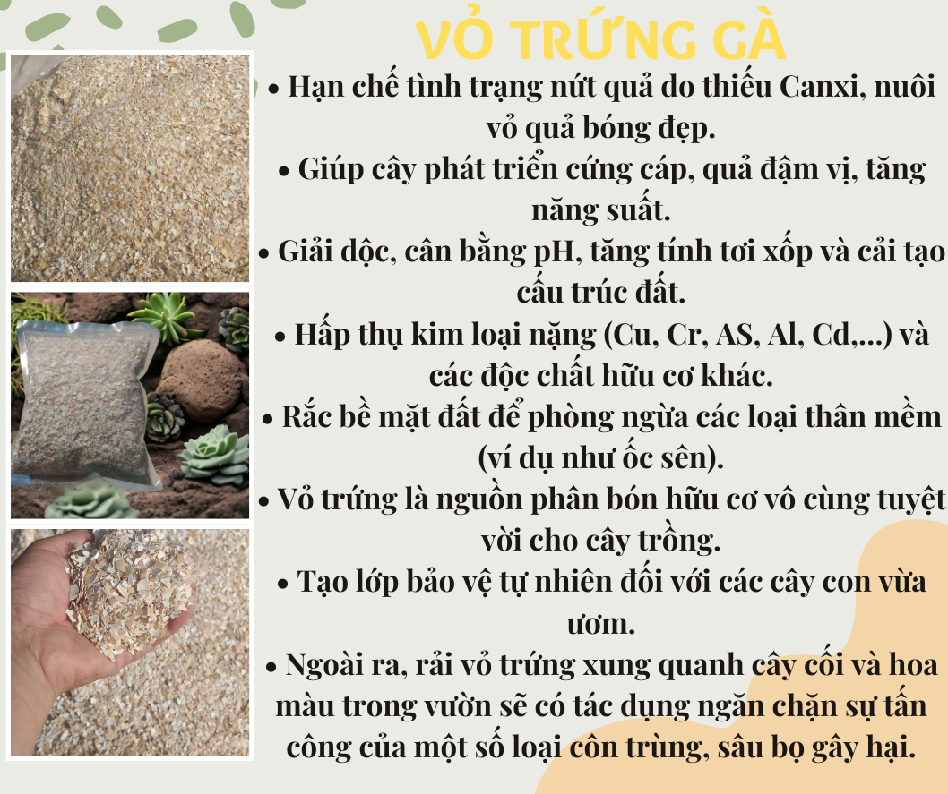 VỎ TRỨNG GÀ SFARM ĐÃ QUA XỬ LÝ - TÚI 1KG