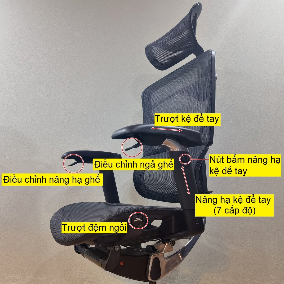 Ghế lưới văn phòng Ergonomic GTChair I-see