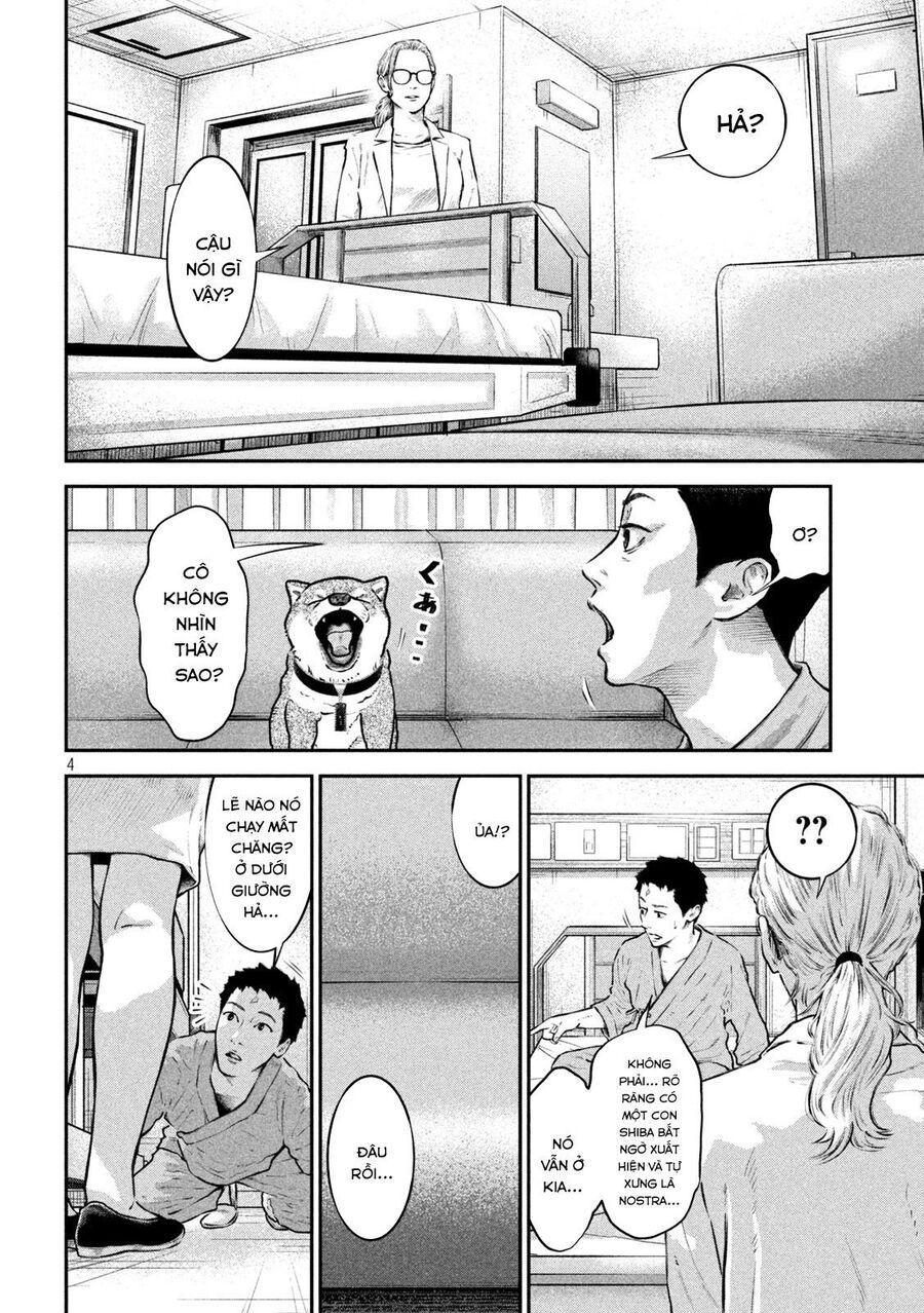 mật danh: nostra chapter 15 5