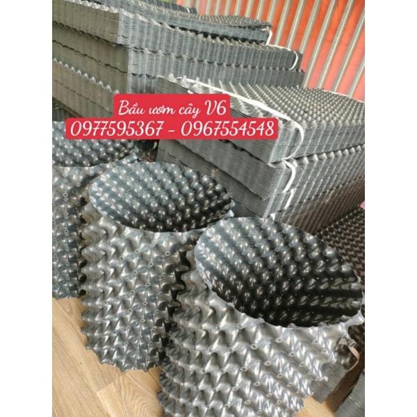 Bầu ươm V6 30 cm dày 0.7mm tặng kèm ốc vit