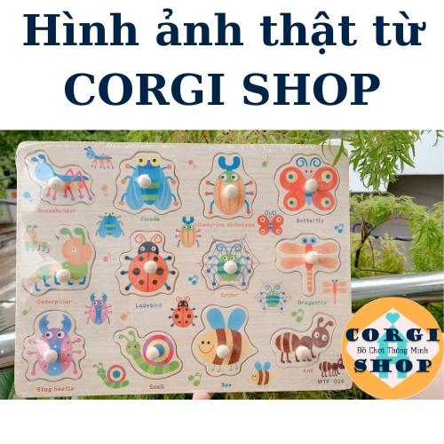 Bảng Gỗ Chữ Cái, Chữ Số, Động Vật, Xe, Máy Bay, Đồ Dùng Trong Nhà, Đồ Chơi Ghép Hình Bảng Núm Gỗ Ghép Hình