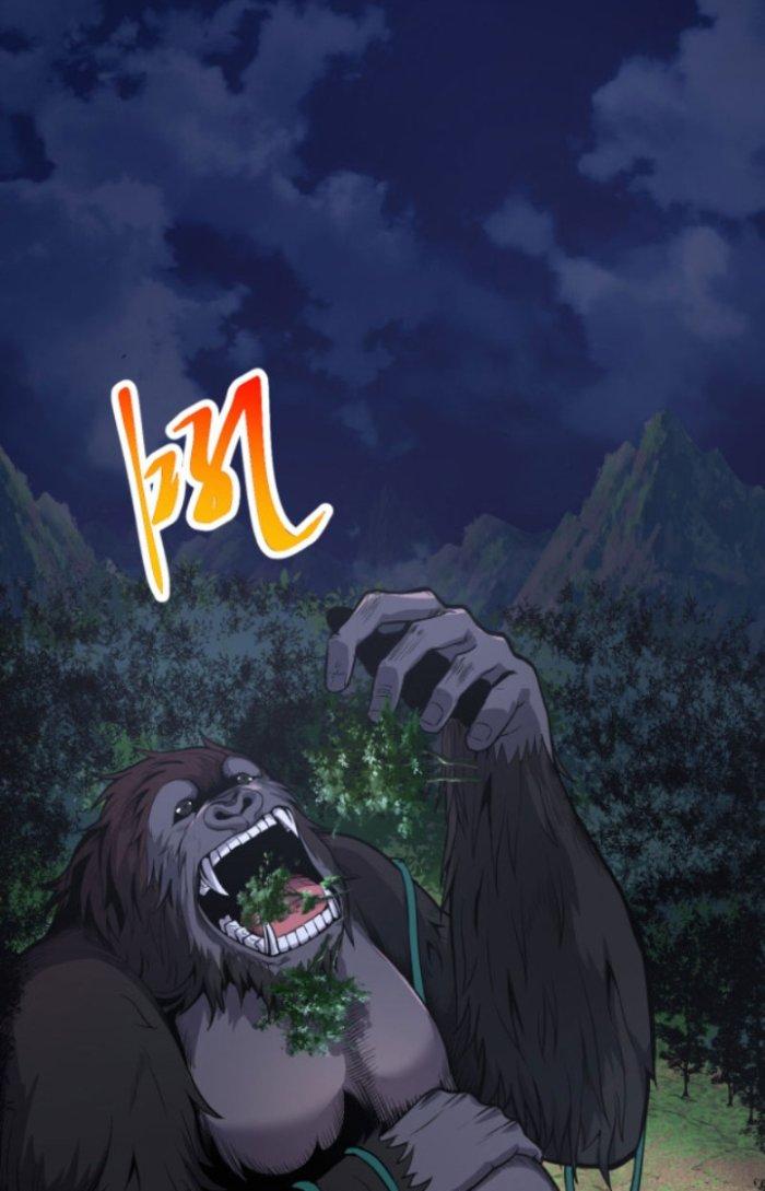 từ cây cổ thụ bắt đầu tiến hóa chapter 2 24