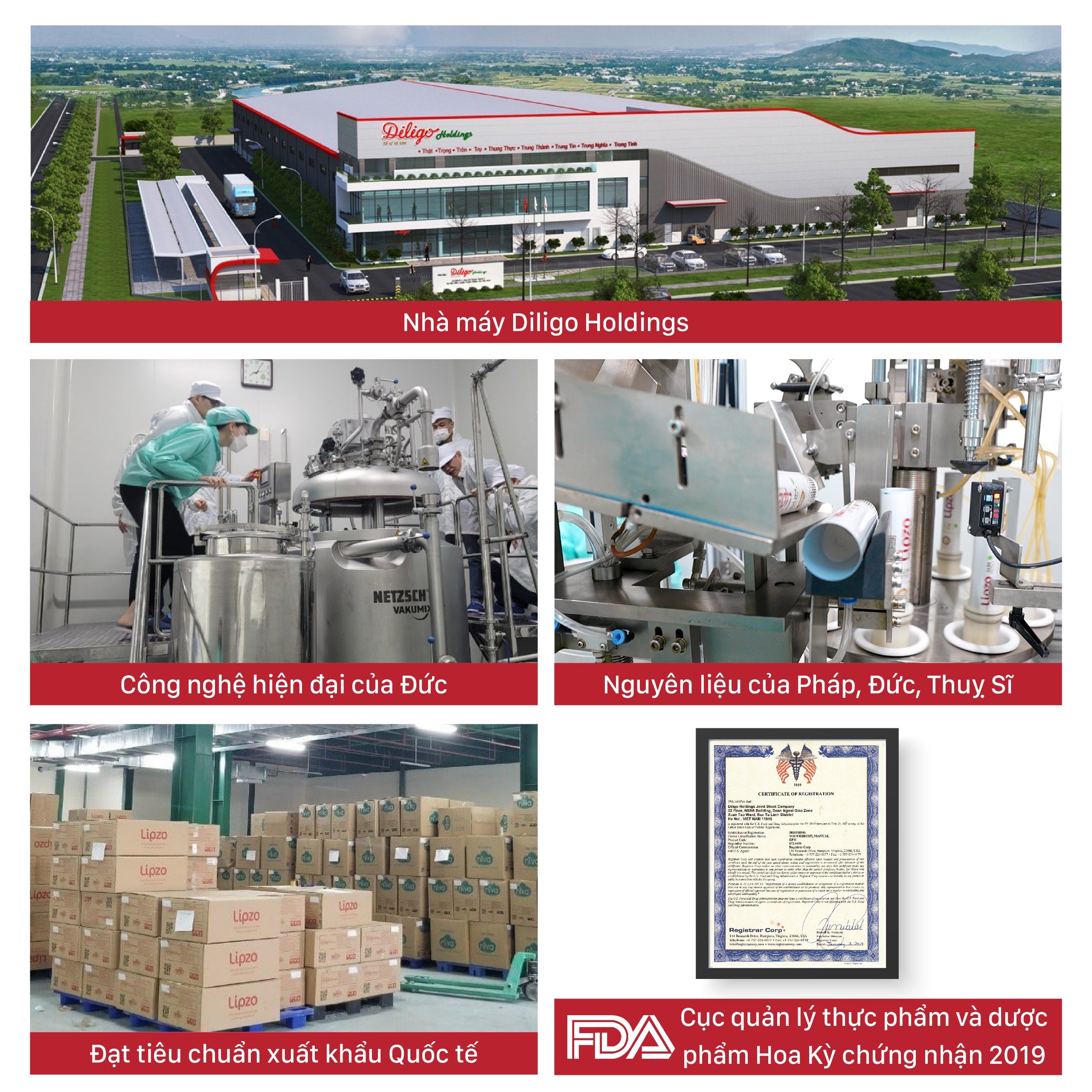 Combo 5 Bàn Chải Đánh Răng LIPZO Flex Khay Công Nghệ Lông Chỉ Tơ Nha Khoa Dành Cho Người Lớn