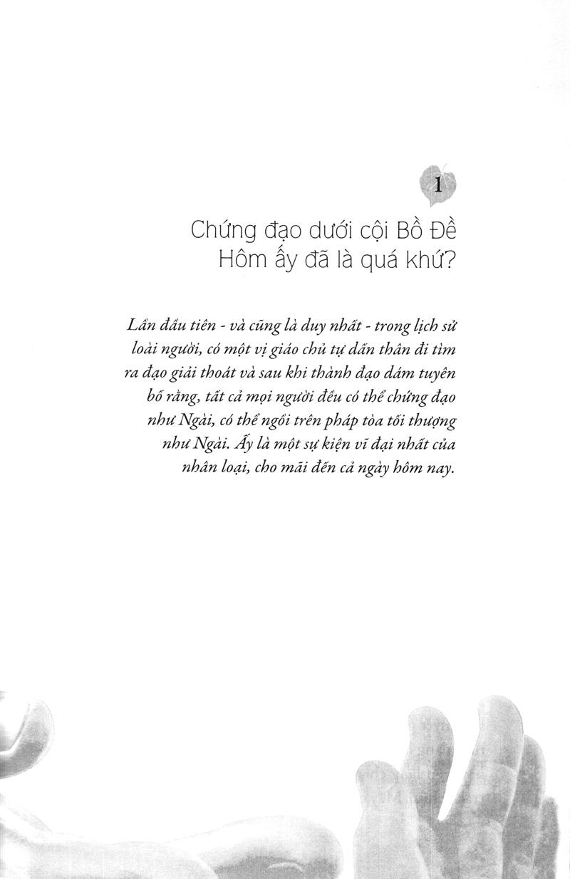 Hạt Nắng Bồ Đề