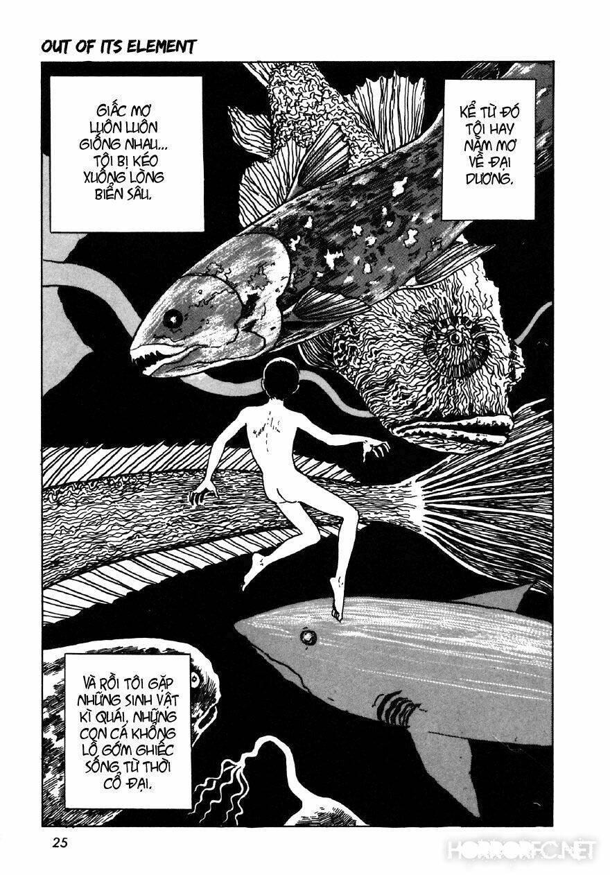 tuyển tập truyện ngắn kinh dị của ito junji chapter 7.2 8