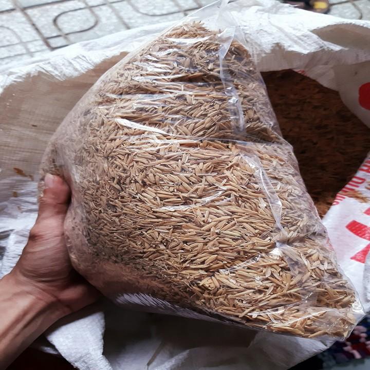 Vỏ trấu tươi trồng LAN ,rau ,hoa, thủy canh, chăn nuôi - gói 1 kg