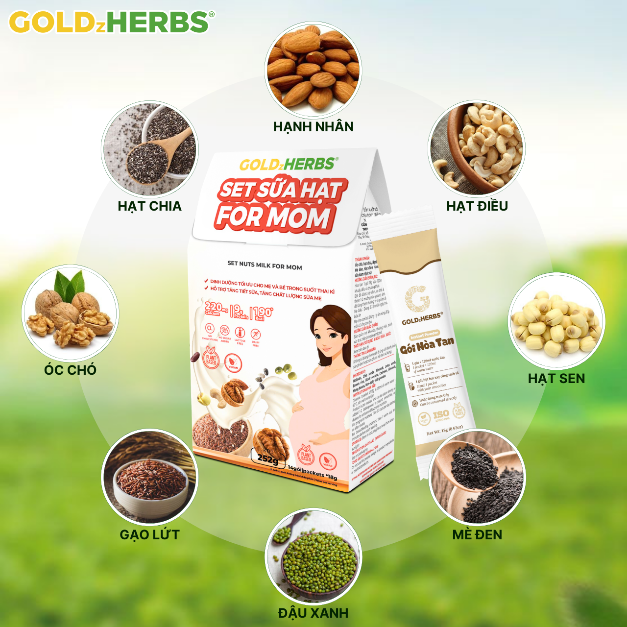 Set sữa hạt cung cấp dưỡng chất toàn diện cho mẹ mang thai và cho con bú GoldzHerbs For Mom – 14 gói/ 500g