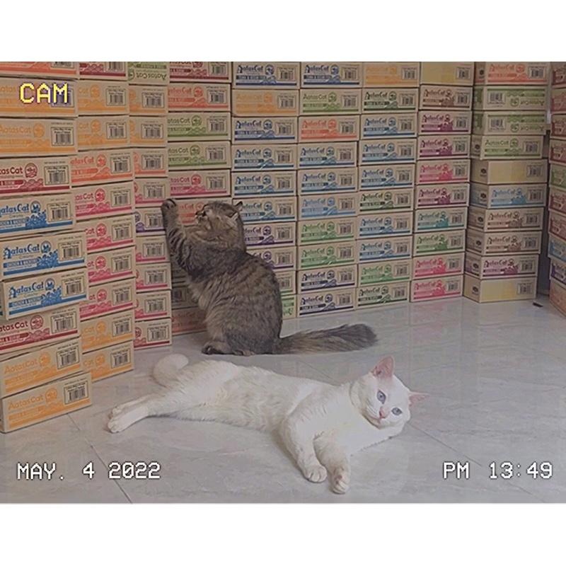 PATE AATAS CAT _ COMBO 24 LON MIX 24 VỊ [ 24lon x 80g