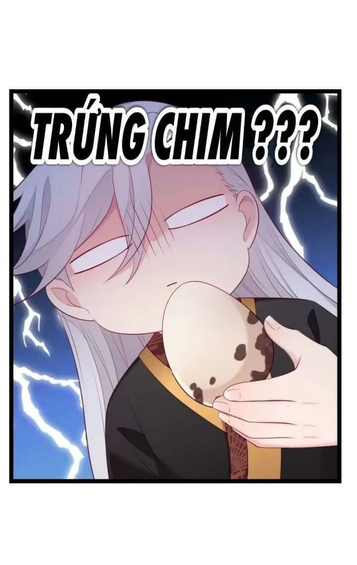 ta mới không gả cho hoàng tử phản diện chapter 10 36