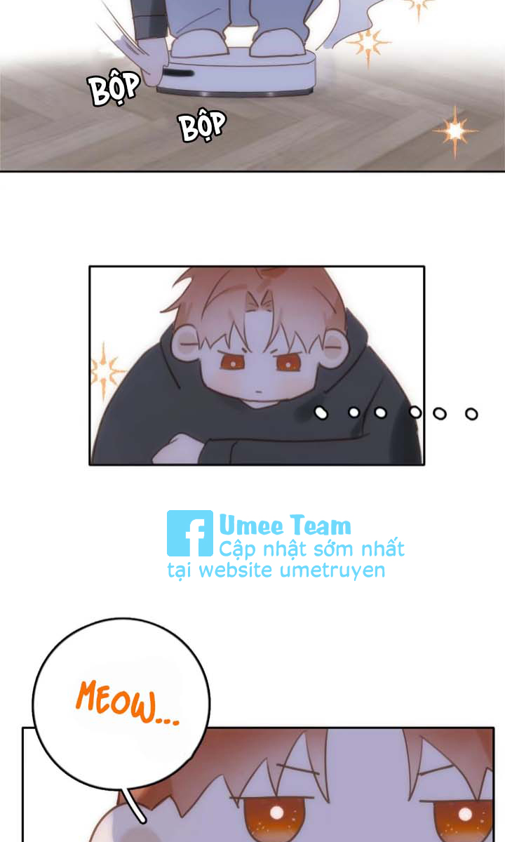 đêm đầy sao nói với em chapter 34 61