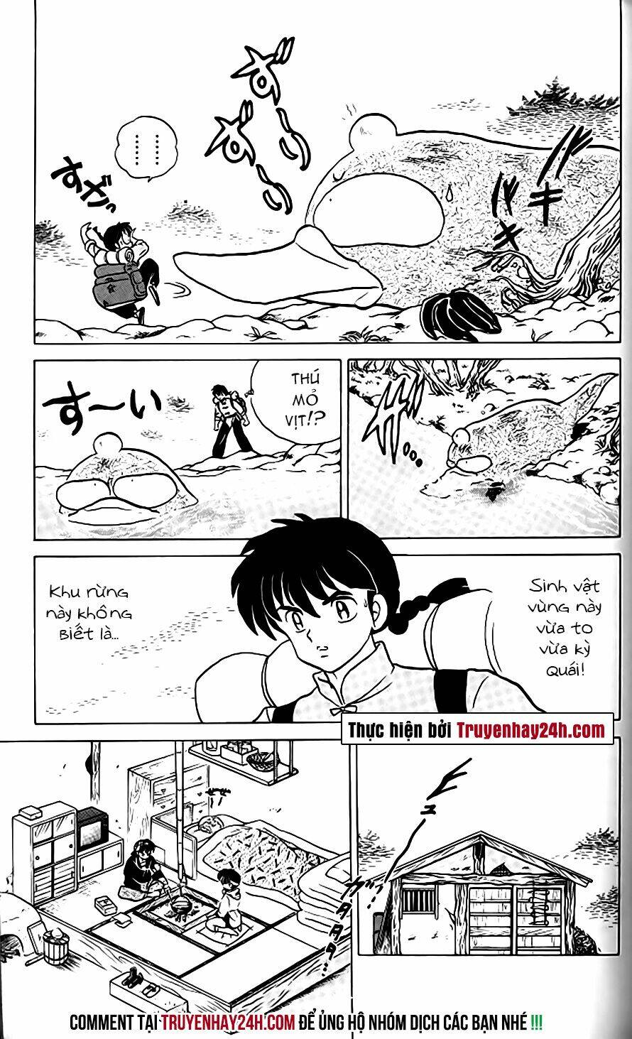 suối lời nguyền chapter 267 10