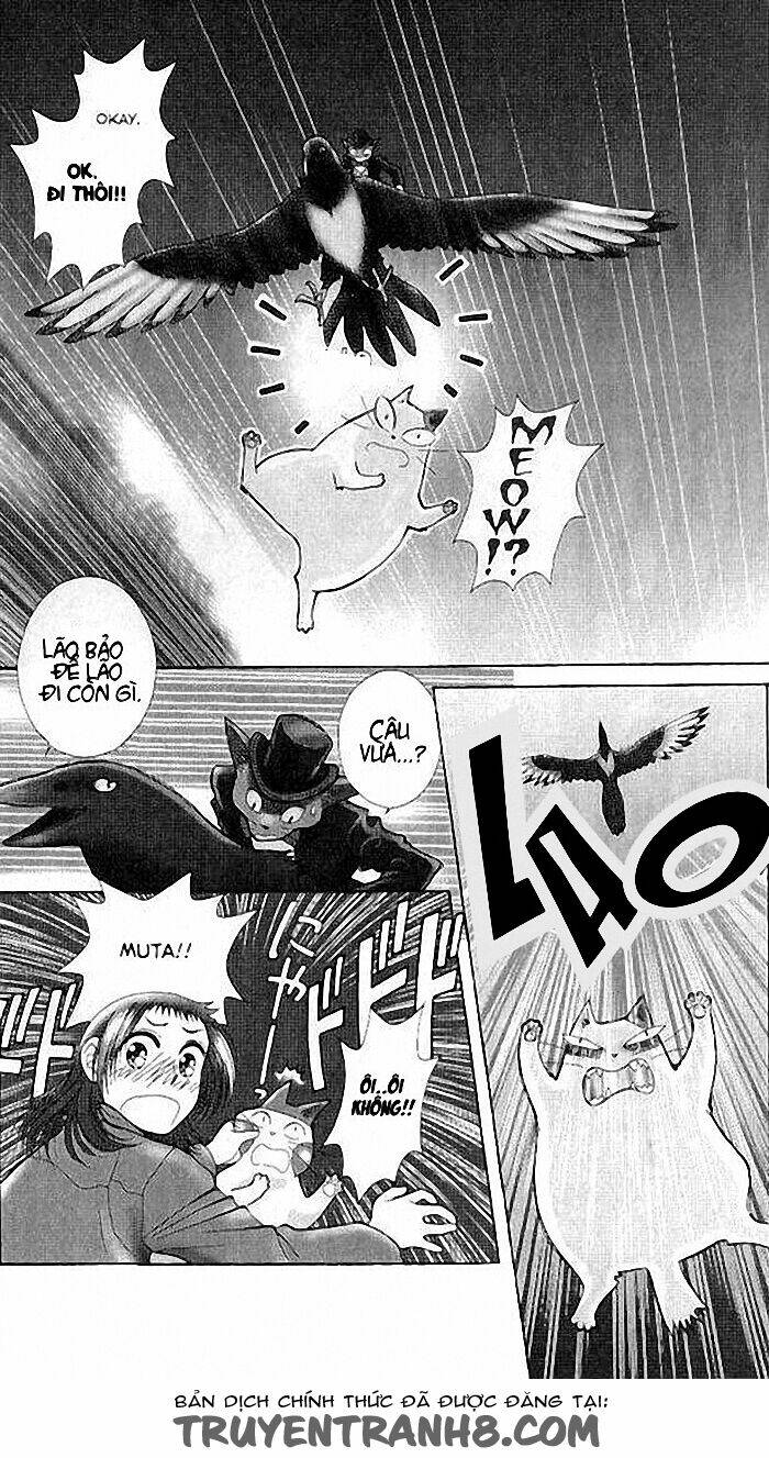 mimi wo sumaseba - lời thì thầm từ trái tim chapter 7 39