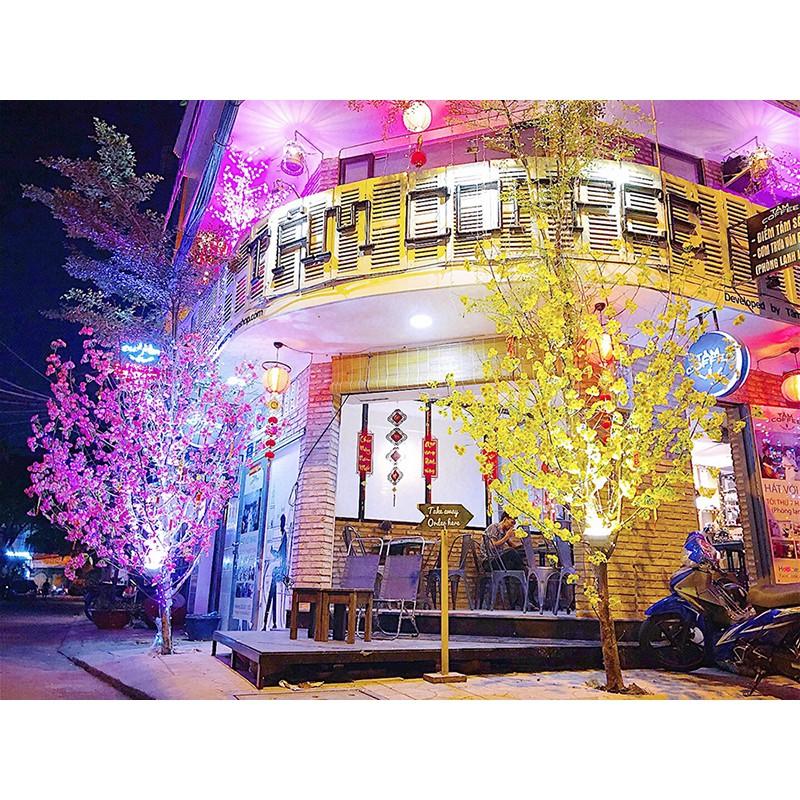 Chùm hoa mai hoa đào gắn cây trang trí ngày Tết