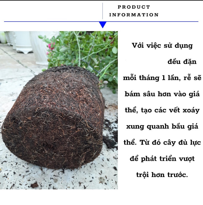 Thuốc,Viên Kích Rễ Cây Trồng X-GROW - Cung Cấp Dinh Dưỡng, Phục Hồi Cây, Tránh Sâu Bệnh