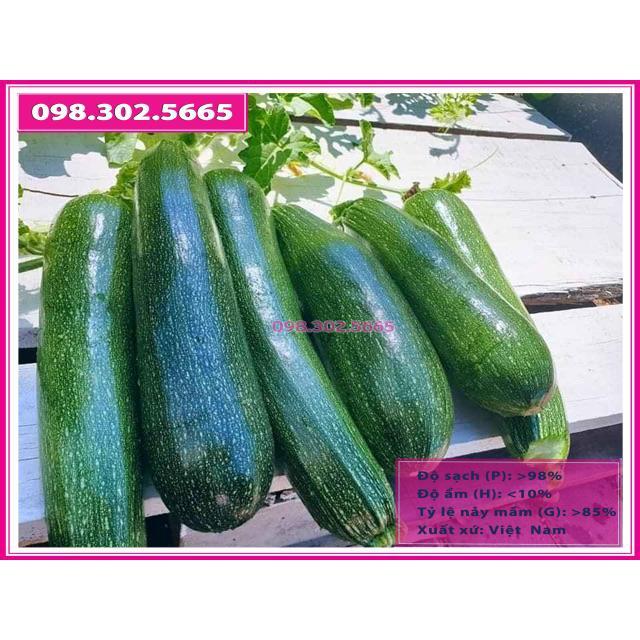 Hạt giống bí ngòi xanh gói 2gr