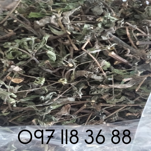 Cây nhọ nồi cỏ mực khô hàng xanh đẹppp.Túi 1kg.lh 097 118 36 88