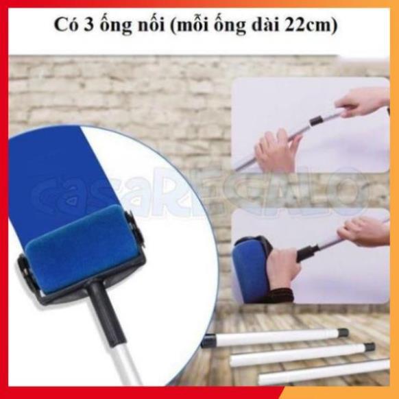 CÂY LĂN SƠN - BỘ CON LĂN SƠN TƯỜNG NHÀ THÔNG MINH 5 MÓN LOẠI TỐT 206772