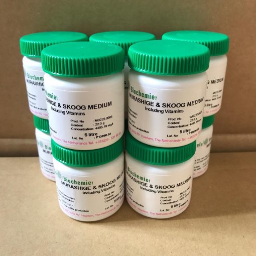 Môi trường MS có Vitamins