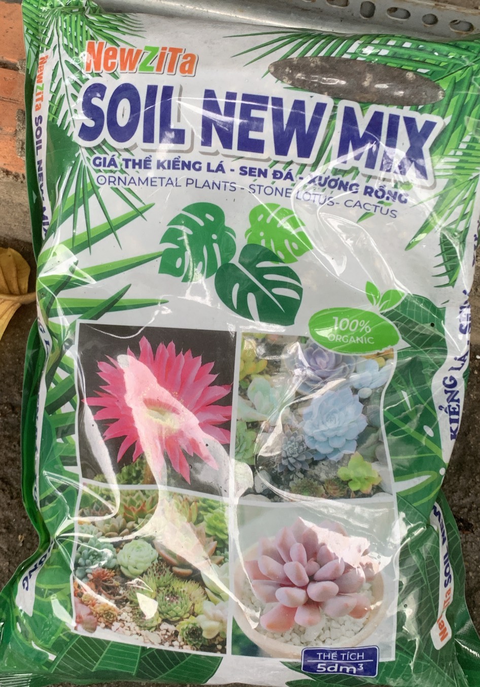 Giá thể trồng kiểng lá sương rồng sen đá Soil New mix túi 5 dm3