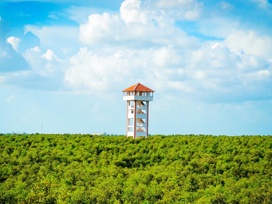 Tour Vía Bà Châu Đốc Rừng Tràm Trà Sư 1 Ngày, KH Từ Cần Thơ, Đón tại khách sạn