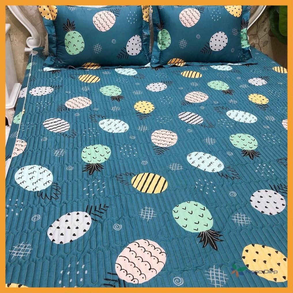Bộ ga kèm 2 vỏ gối cotton Chần Bông mẫu Dứa Xanh cao cấp m2, m6, m8, 2m2