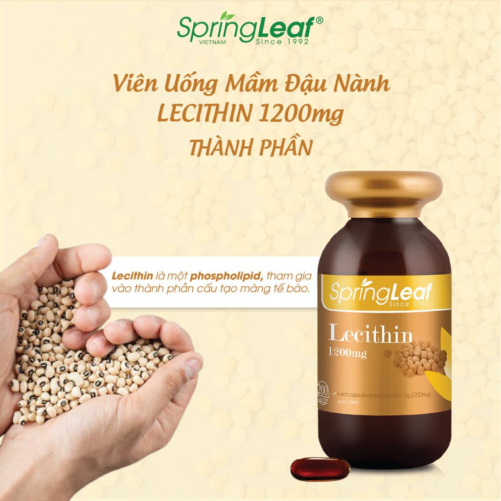 Viên uống tinh chất mầm đậu nành cải thiện hệ tiêu hóa, hỗ trợ sức khỏe gan, sức khỏe tổng thể SpringLeaf Lecithin 1200mg 200 viên