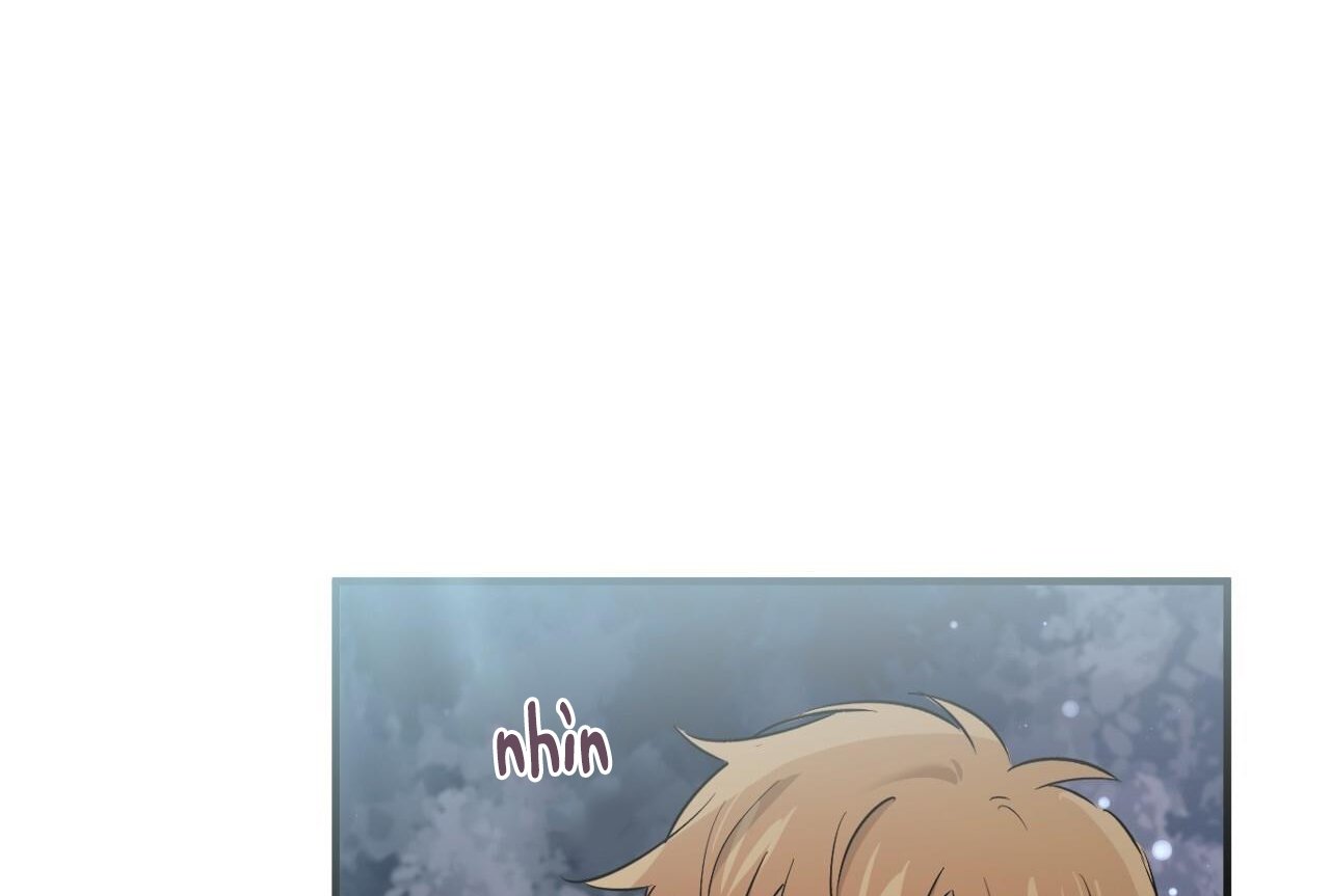 những chú thỏ của hapypy chapter 61 192