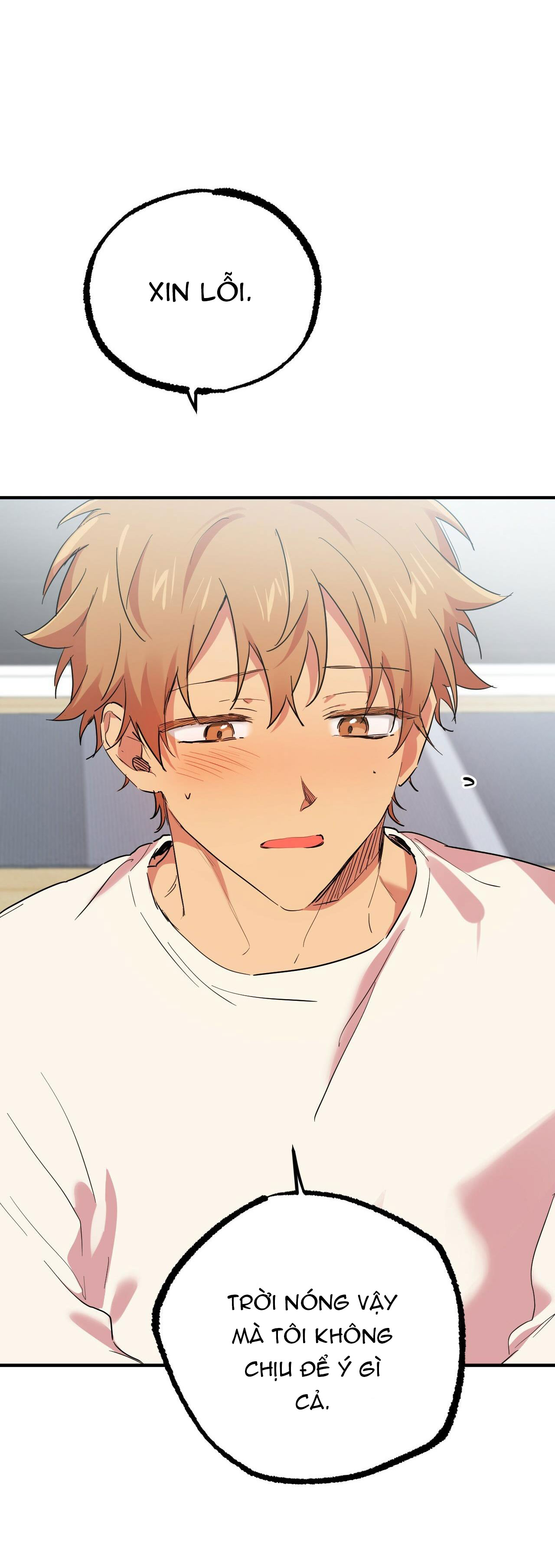 những chú thỏ của hapypy chapter 13 39