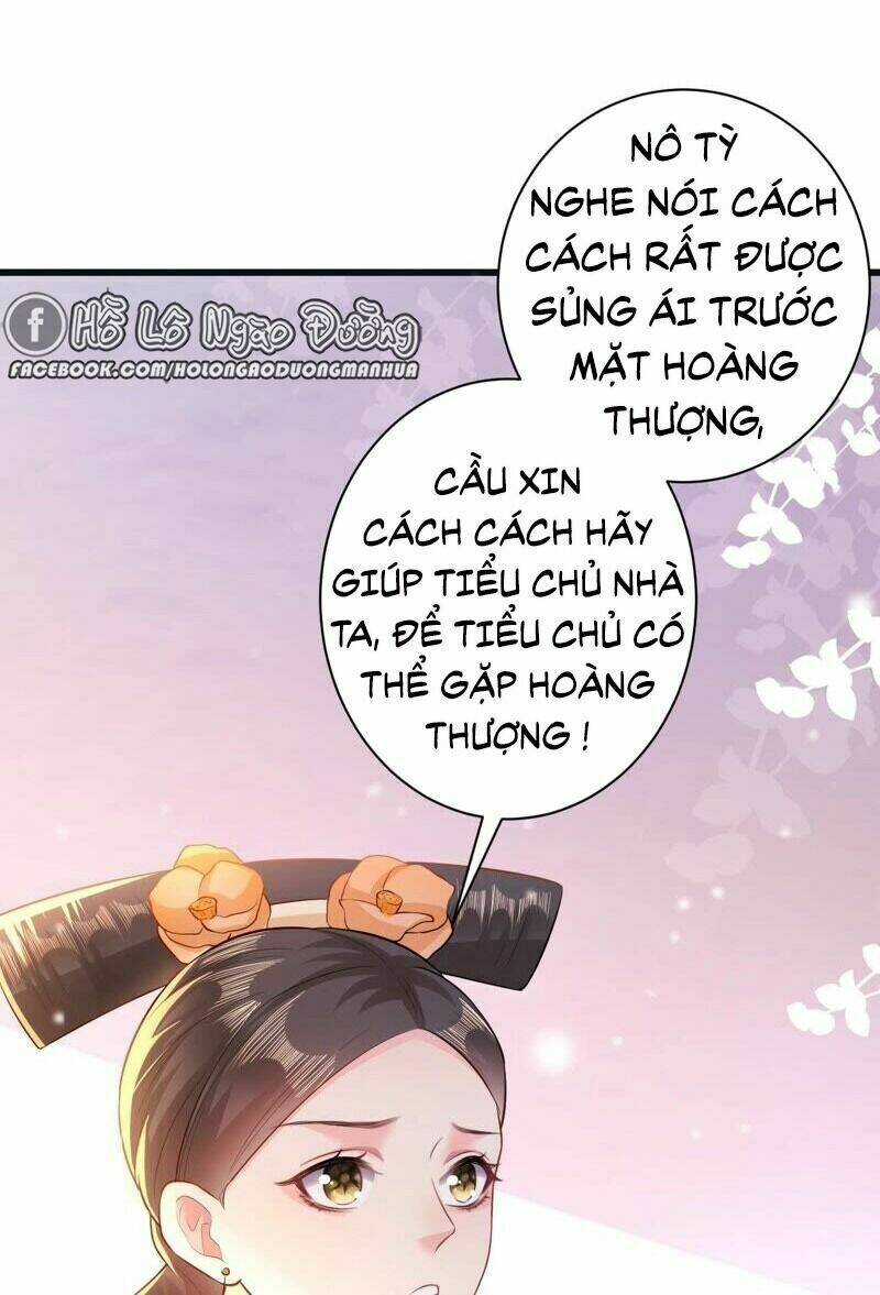 quận chúa vững vàng, thiết lập nhân vật không thể vỡ chapter 49 40