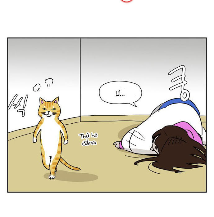 hard core leveling warrior chapter 176.1 59