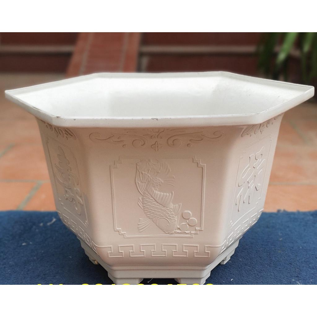 Chậu nhựa lục giác Phúc, Lộc, Thọ L19 đa sắc màu