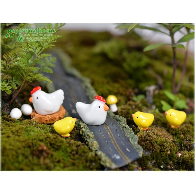 Tiểu cảnh Terrarium ️ Gia đình gà con tiểu cảnh trang trí sen đá, sân vườn, bể cá, bể terrarium