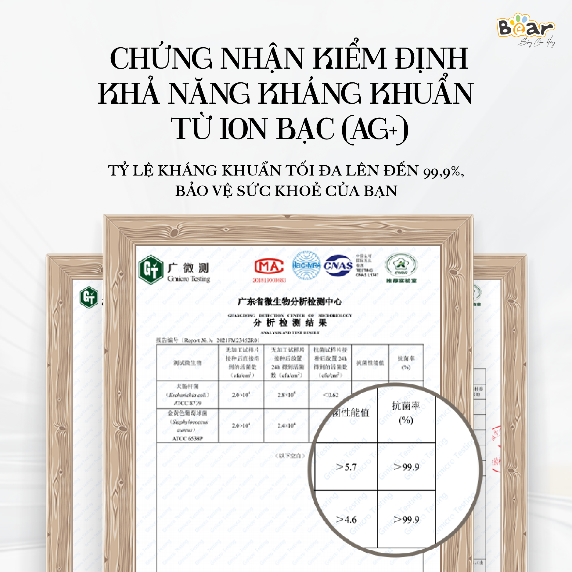 Đũa Bear cao cấp, kháng khuẩn, chất liệu an toàn CX-E0102