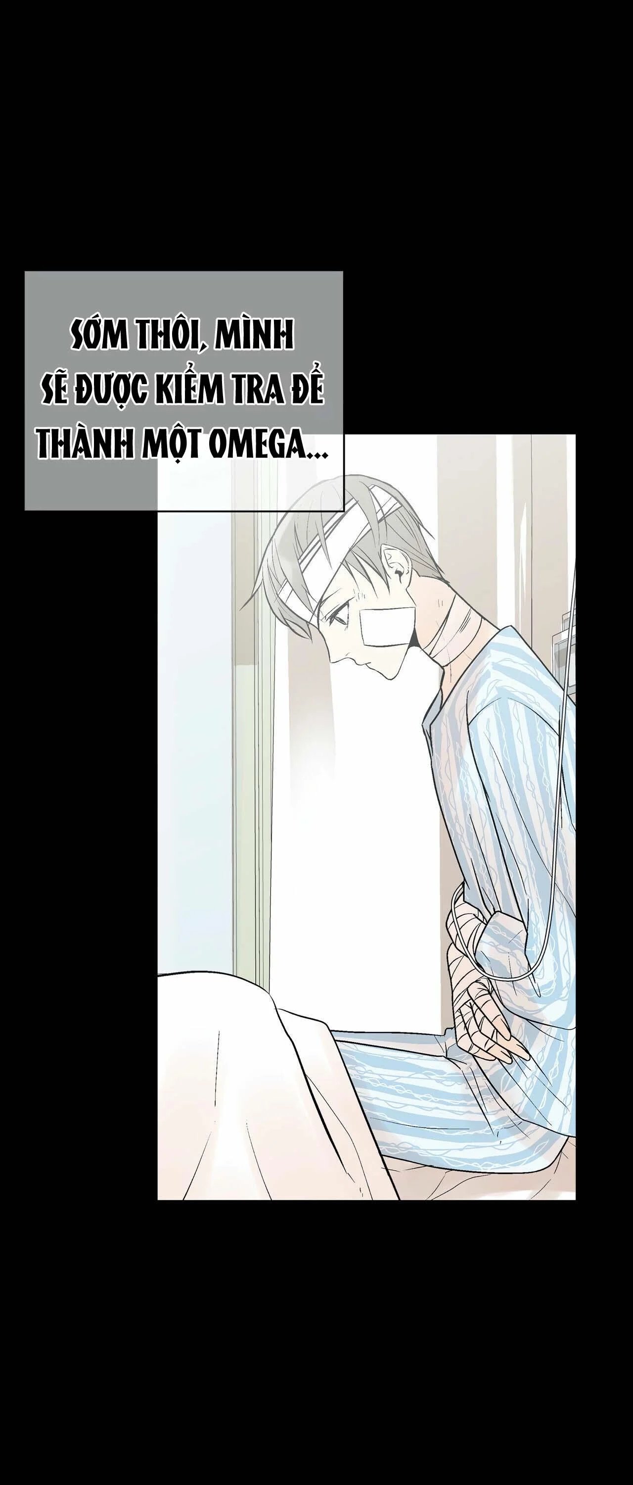 trú ẩn - haven chapter 9.1 5