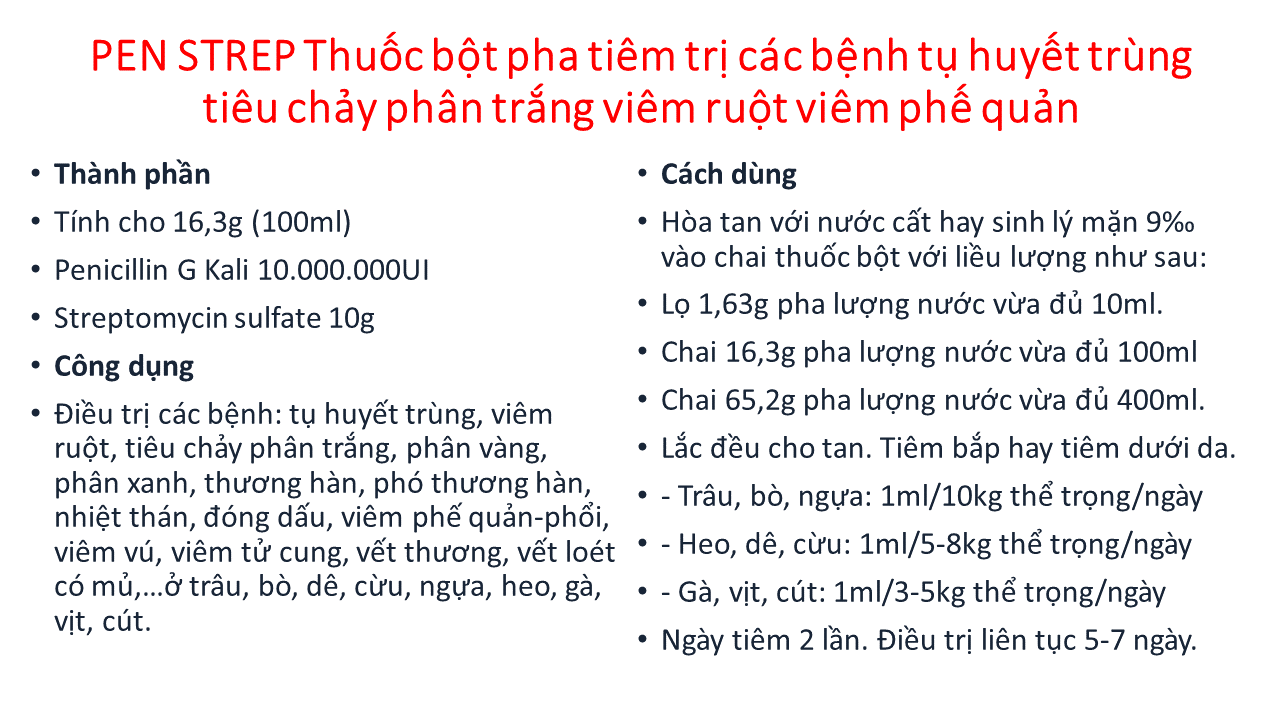 Thuốc bột pha tiêm PEN-STREP Đi.ều t.rị các bệnh: tụ huyết trùng, viêm ruột, tiêu chảy , thương hàn, viêm vú, viêm tử cung trên gia súc ,gia cầm