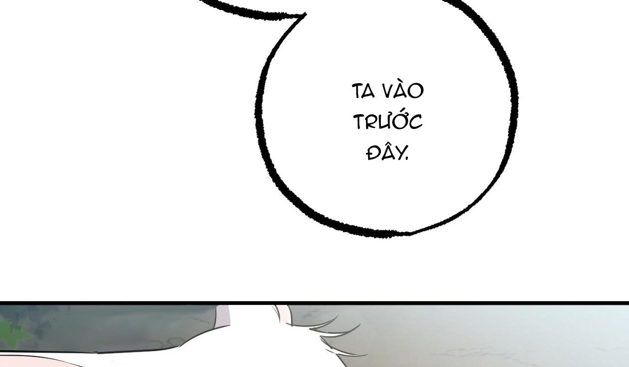 đàn thỏ của habibi chapter 48 226