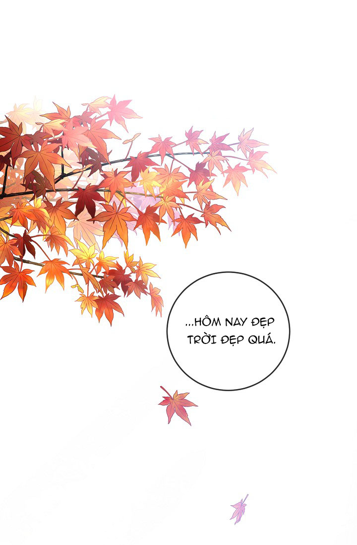 hướng đến ánh dương một lần nữa chapter 30.2 32