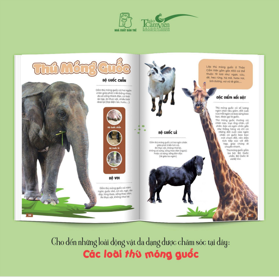 Thảo Cầm Viên Sài Gòn - Kho Báu Trong Lòng Thành Phố