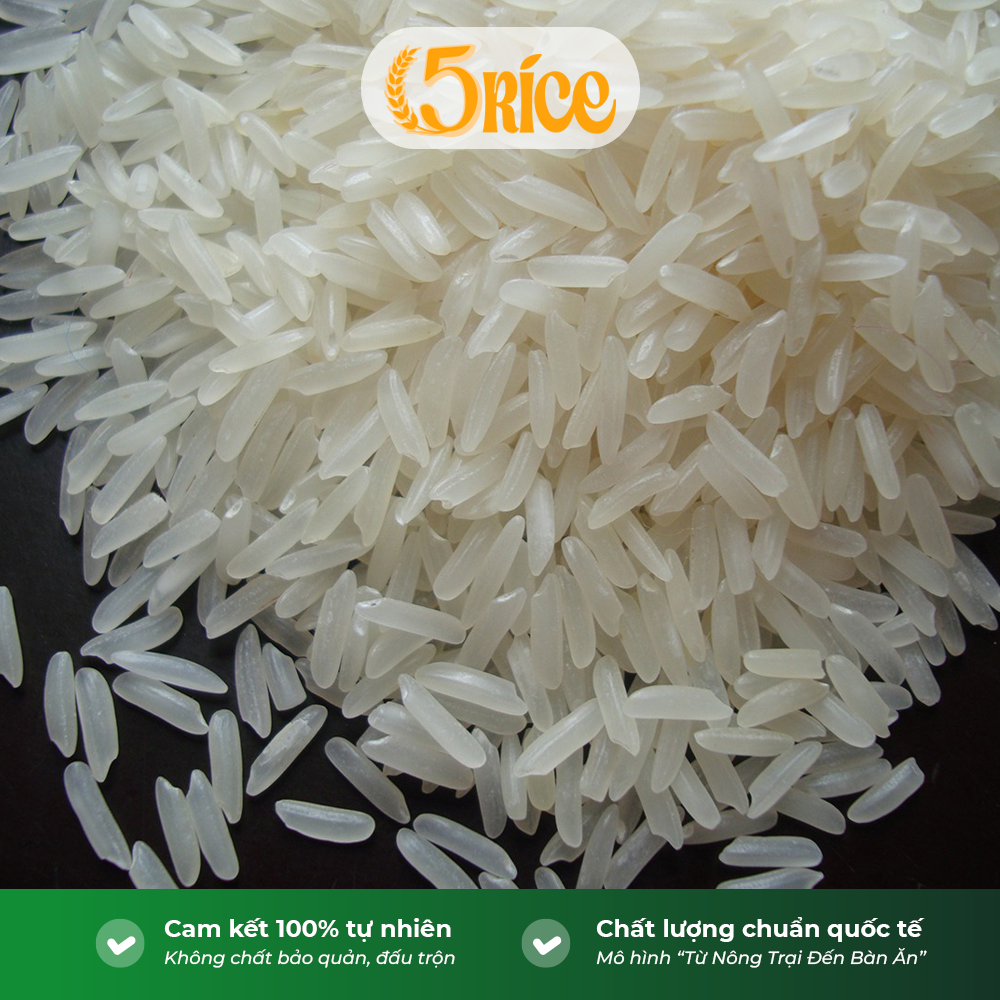 Gạo thơm thượng hạng Tứ Quý - Túi 10kg - Gạo thượng hạng thơm dẻo, đậm vị 5RICE