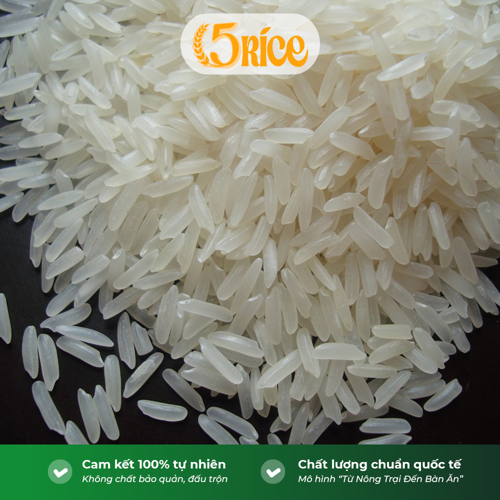 Gạo thơm thượng hạng Tứ Quý - Túi 10kg - Gạo thượng hạng thơm dẻo, đậm vị  5RICE