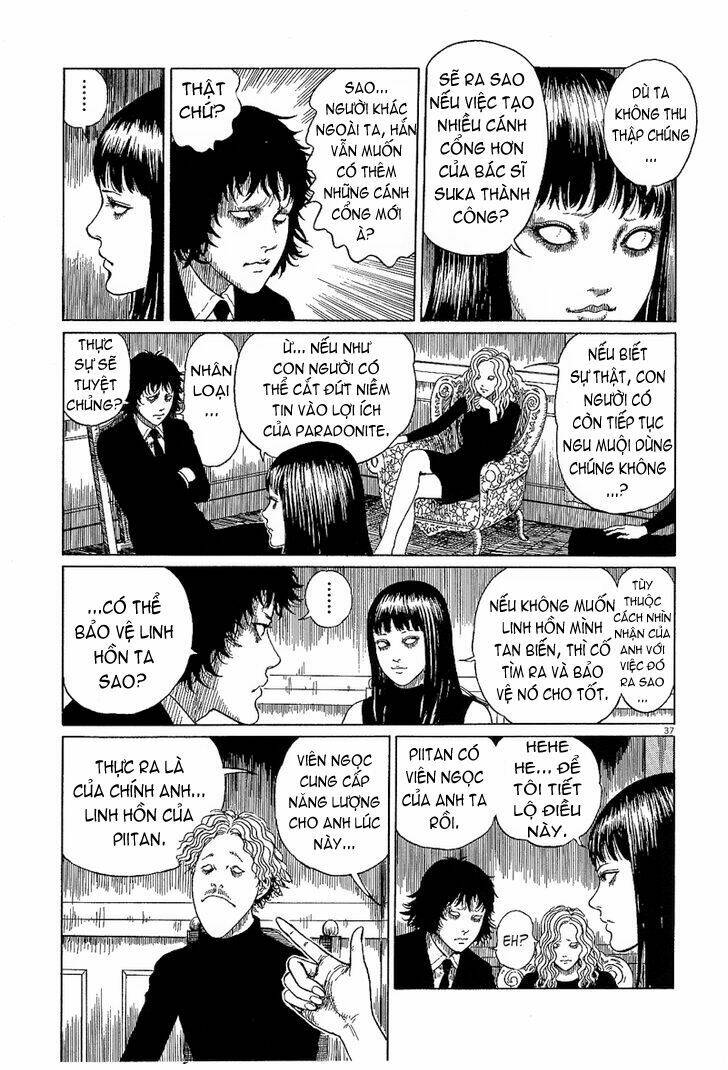 black paradox chapter 6 37