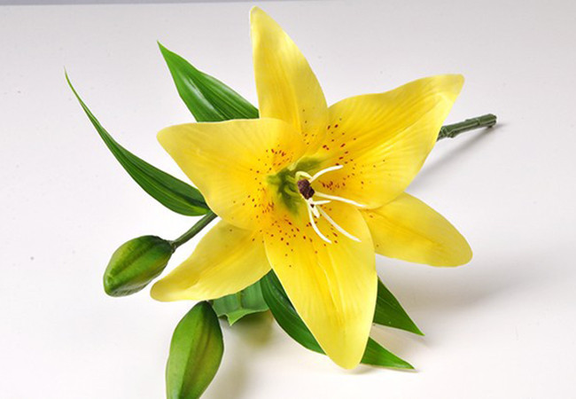 Cành hoa ly 2 bông 1 nụ